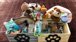 Donations of dog collars, leashes, poop bags, and toys from HIP volunteers.