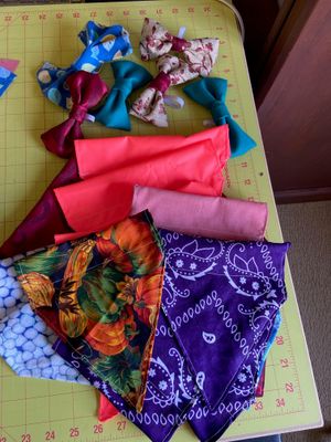Dog accessories made by Lisa